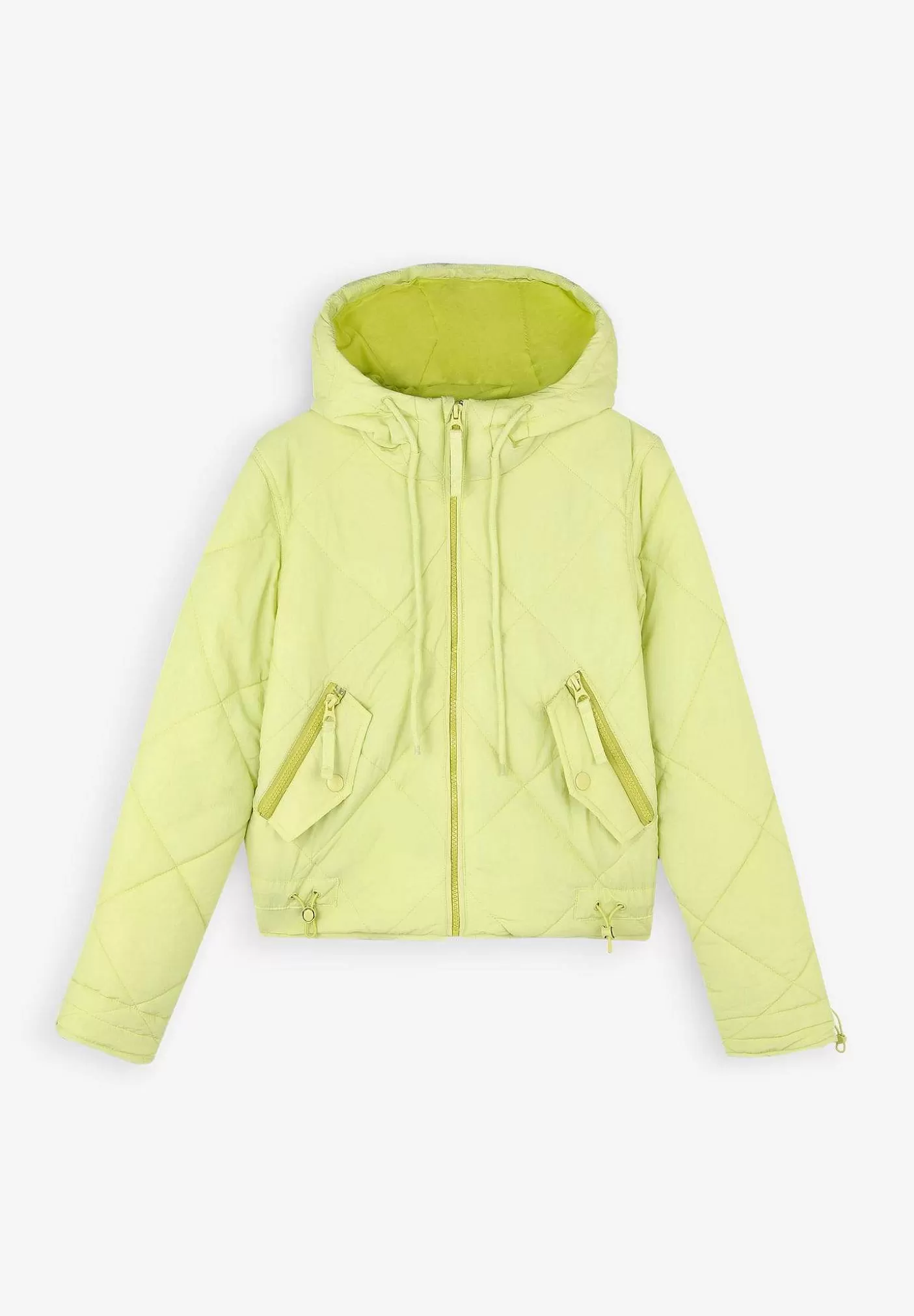 Scalpers Padded Hooded Jacket Store